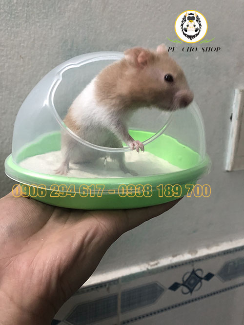 NHA TẮM NGŨ SẮC